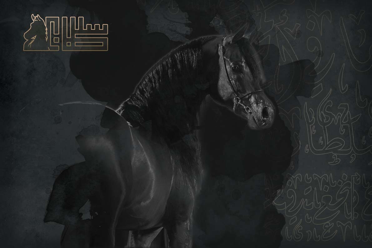 2022 PSAIAHF Event Branding
